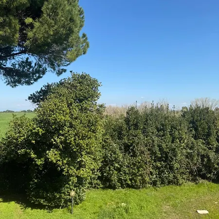 Pian Di Barca Farma