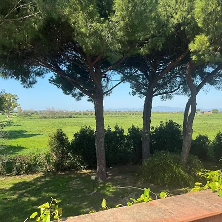 Pian Di Barca Spergolaia